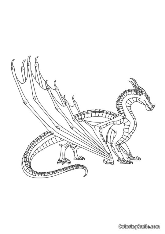 Černý drak - Omalovánka