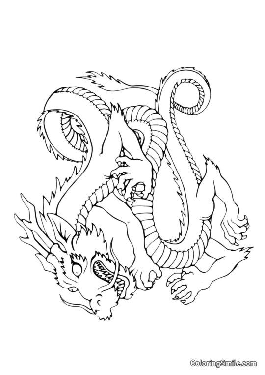 Útočící drak - Omalovánka