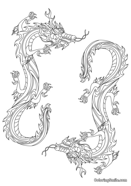 Ohniví draci - Omalovánka