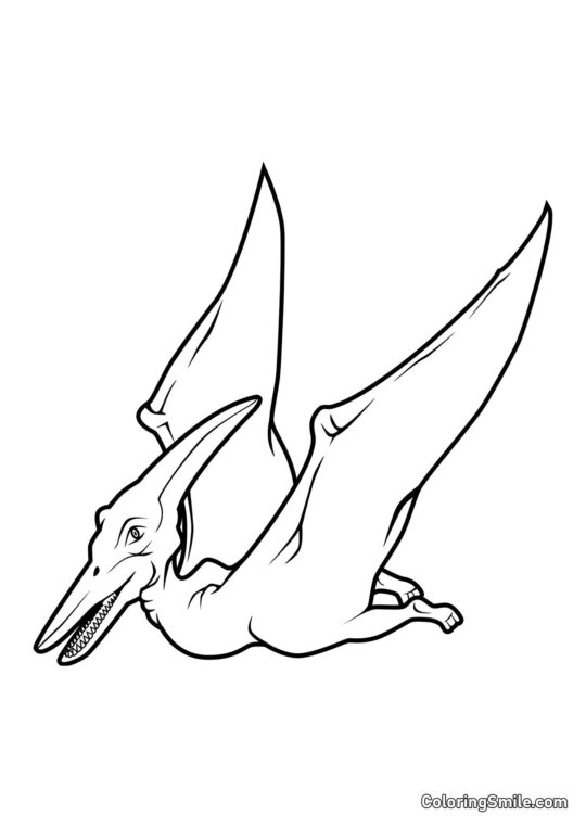Kolorowanki Dinozaurów Pteranodon - Kolorowanka