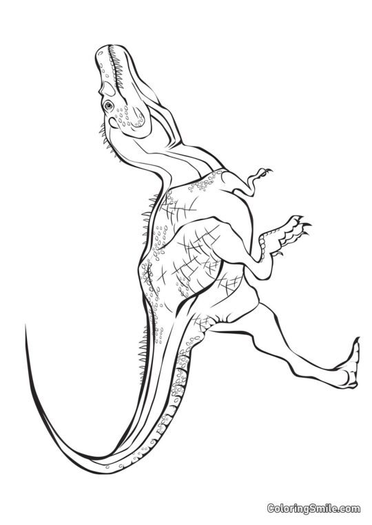 Kolorowanki Dinozaurów Tyrannosaurus - Kolorowanka