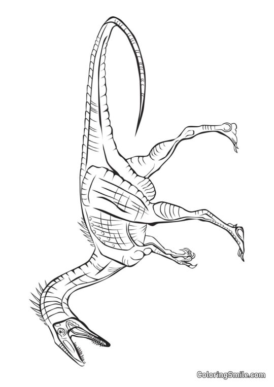 Kolorowanki Dinozaurów Coelophysis - Kolorowanka
