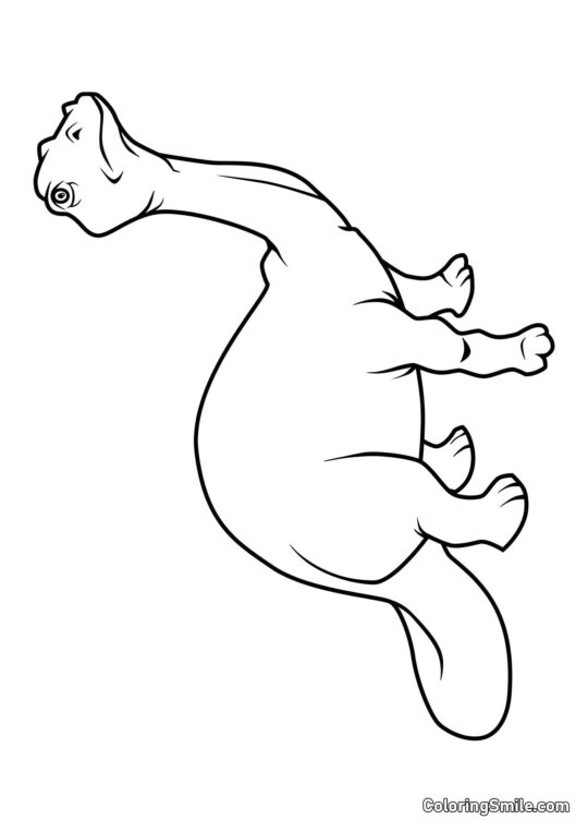 Kolorowanki Dinozaurów Brontozaur - Kolorowanka