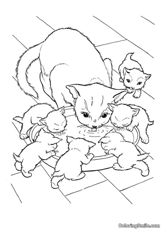 100+ Kolorowanki z Kotami Kot i Sześć Kociąt - Kolorowanka