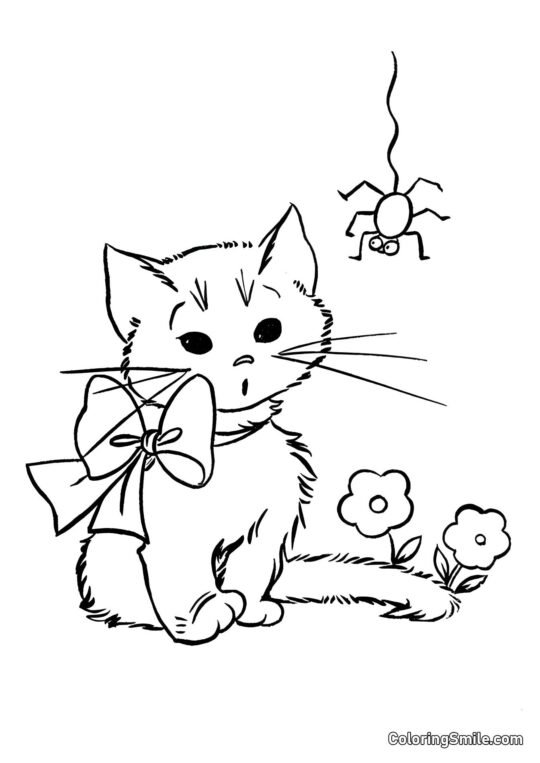 100+ Kolorowanki z Kotami Kociak i Pająk - Kolorowanka