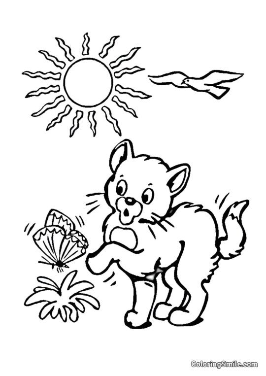 100+ Kolorowanki z Kotami Kot i Motyl - Kolorowanka