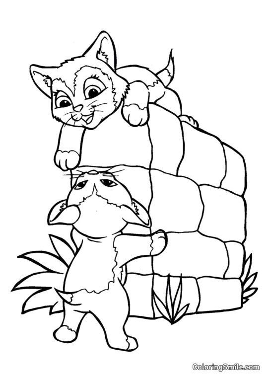 100+ Kolorowanki z Kotami Kocięta Bawiące się - Kolorowanka