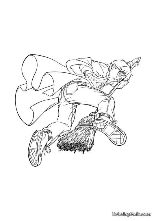 Harry de desenho animado em uma vassoura - Página para Colorir