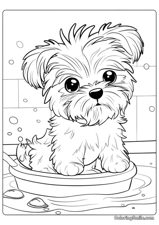 Dog and Puppy Coloring Pages Cute dog taking a bath - Coloring Page