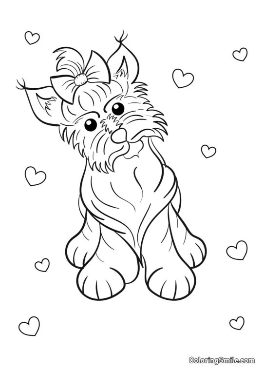 Dog and Puppy Coloring Pages Yorkshire Terrier - Coloring Page