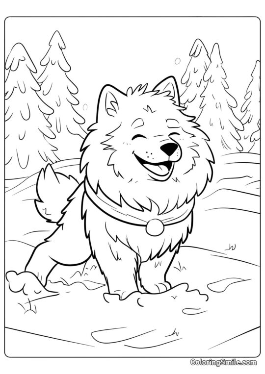 Dog and Puppy Coloring Pages Happy Pomeranian dog - Coloring Page