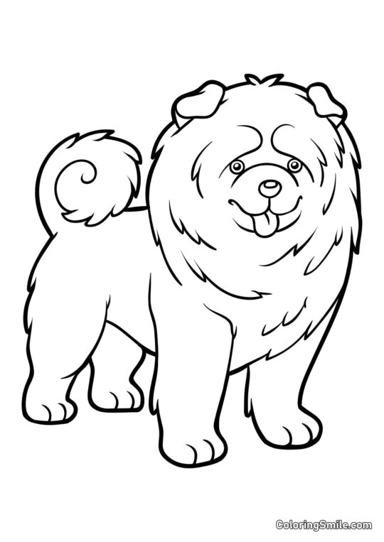 Dog and Puppy Coloring Pages Chow Chow - Coloring Page