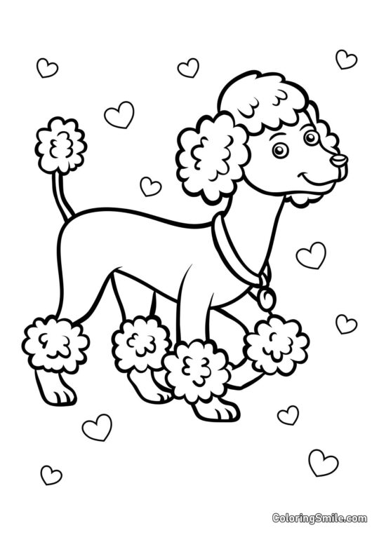 Dog and Puppy Coloring Pages Cute Poodle - Coloring Page
