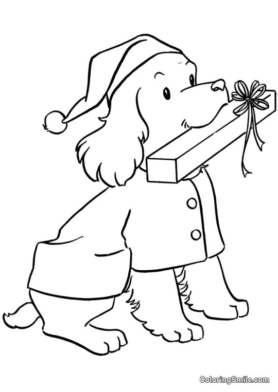 Dog and Puppy Coloring Pages Dog with a gift - Coloring Page