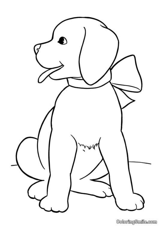 Dog and Puppy Coloring Pages Fancy dog - Coloring Page