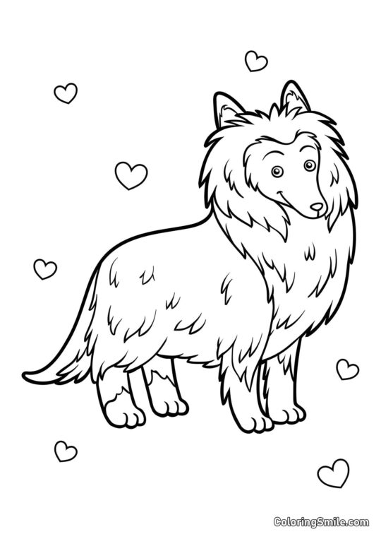 Dog and Puppy Coloring Pages Collie - Coloring Page