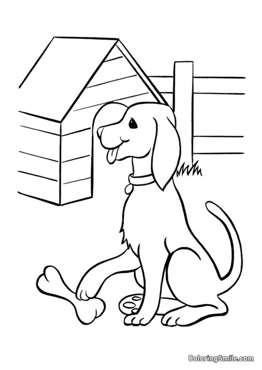 Dog and Puppy Coloring Pages Dog and kennel - Coloring Page