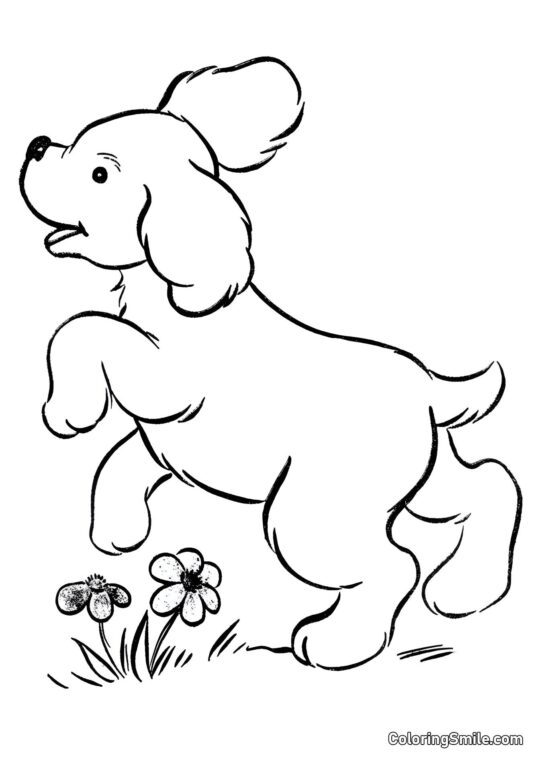 Dog and Puppy Coloring Pages Little pup - Coloring Page