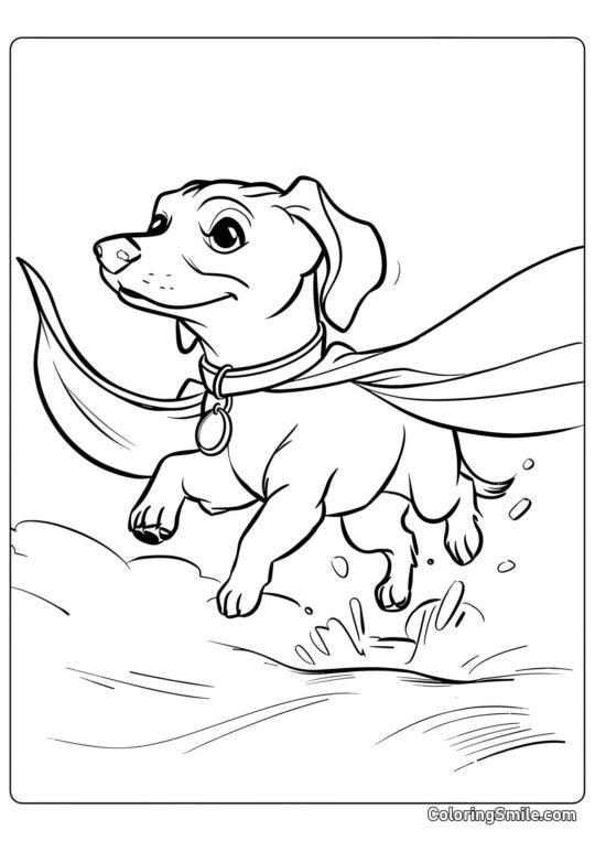 Dog and Puppy Coloring Pages Super Dachshund - Coloring Page