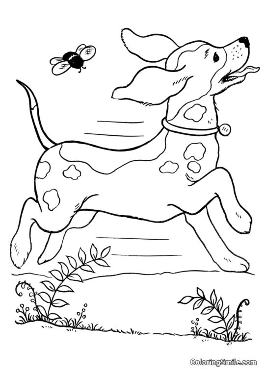 Dog and Puppy Coloring Pages Dog running in the field - Coloring Page