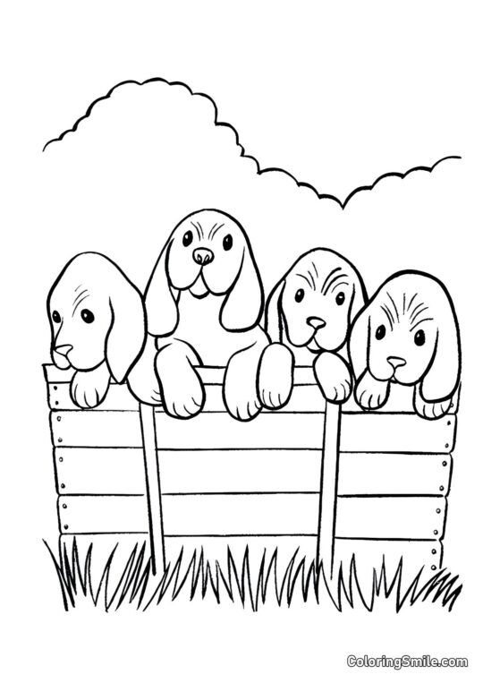 Dog and Puppy Coloring Pages Four dogs - Coloring Page