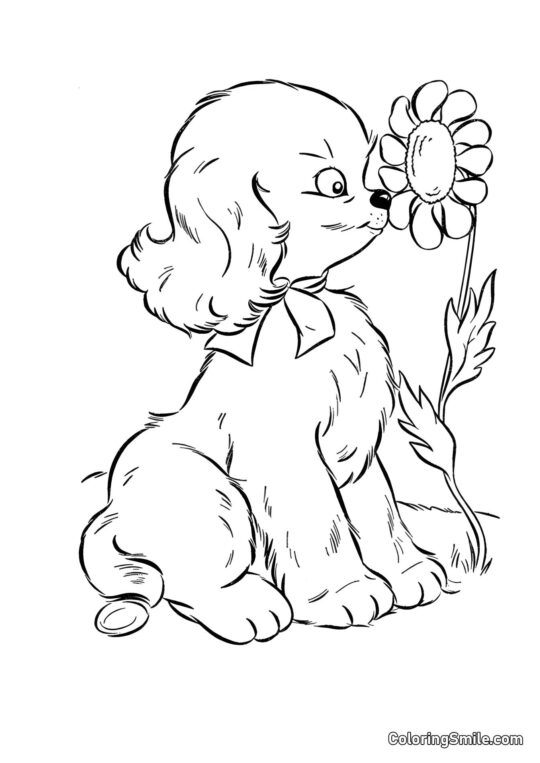 Dog and Puppy Coloring Pages Dog and daisy - Coloring Page