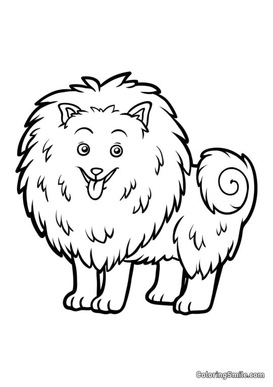 Dog and Puppy Coloring Pages Pomeranian - Coloring Page
