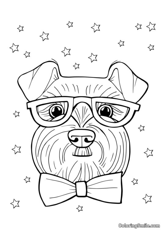 Dog and Puppy Coloring Pages Dog with a bow - Coloring Page