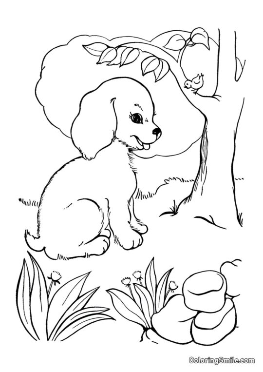 Dog and Puppy Coloring Pages Dog in the forest near a tree - Coloring Page