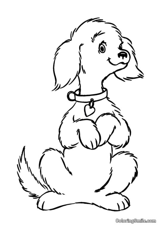 Dog and Puppy Coloring Pages Dog on hind legs - Coloring Page