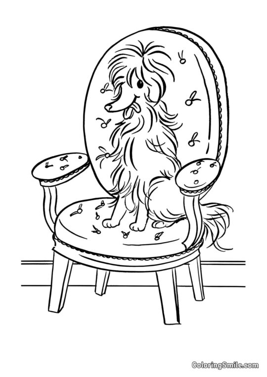 Dog and Puppy Coloring Pages Dog – Mademoiselle - Coloring Page