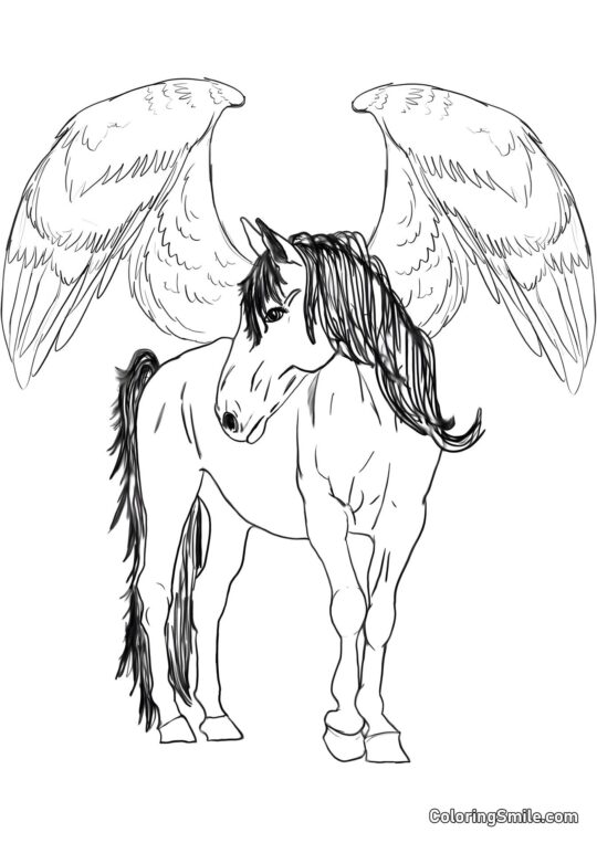 Pferde Ausmalbilder Flügel-Pegasus - Ausmalbild