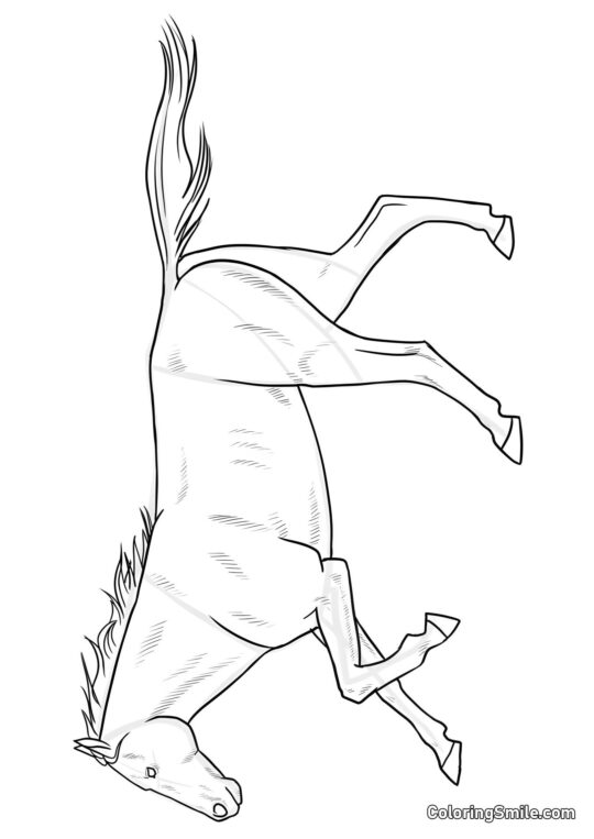 Pferde Ausmalbilder Anmutiges Pferd - Ausmalbild