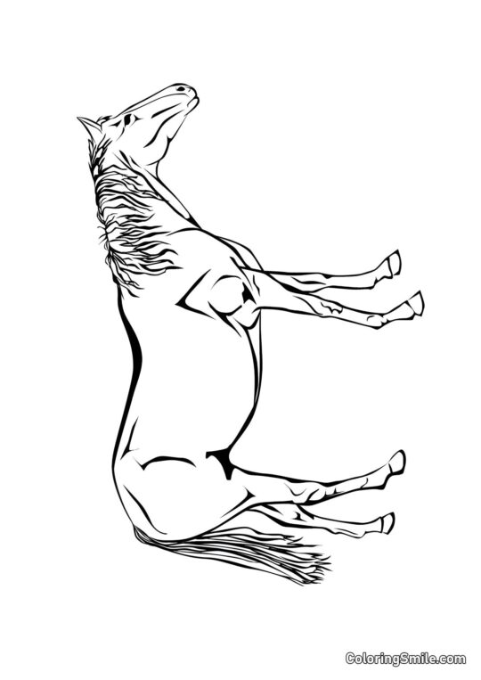 Pferde Ausmalbilder Exquisites Pferd - Ausmalbild