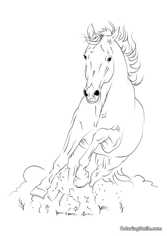 Pferde Ausmalbilder Flieg wie der Wind Pferd - Ausmalbild