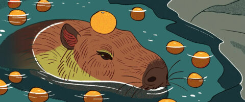 Розмальовки Капібари